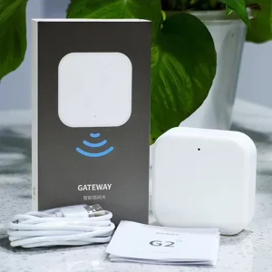 Gateway WIFI G2 per TTLock Compatibile con Bluetooth su WiFi Funziona con Goolg Home e Alexa