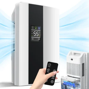 2 IN 1 Deumidificatore portatile e purificatore d’aria Touch Screen Telecomando Essiccatore d’aria Muto Assorbitori di umidità per la cucina domestica