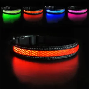 MASBRILL Collare per cani a LED Prodotti per animali luminosi Sicurezza Elegante collana luminosa lampeggiante Accessori riflettenti impermeabili per cani da compagnia
