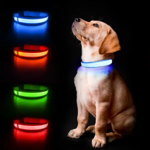 Collare per cani MASBRILL Forniture per animali luminosi Collare per cani Collari di sicurezza impermeabili dropship