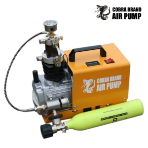 4500Psi 300Bar 30MPA 220V 110V Pcp Compressore d’aria Pompa elettrica ad alta pressione per pneumatico PCP Fucile ad aria compressa Scuba Gonfiatore