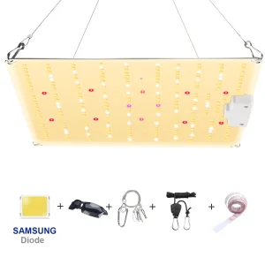 Lampada da coltivazione a LED da 1000 W con scheda quantistica silenziosa a spettro completo con diodo Samsung, utilizzata per piante idroponiche per tende in serra da interno