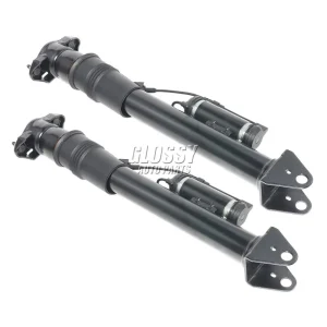 AP02 Coppia di ammortizzatori posteriori per Mercedes-Benz ML W164 GL X164 A 1643203031   A 1643200731