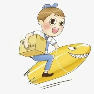 Link per il pagamento della differenza di prezzo del prodotto