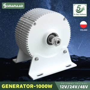 Generatore eolico PMG 1000w 12V 24V 48V 750 giri/min AC DC Power Dinamo magnetico Turbina ad acqua Hydro Alternatore Energia libera