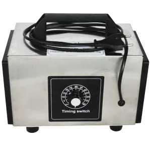 ATWFS purificatore d’aria generatore di ozono 60g 220v ozonizzatore macchina filtro aria Ozonizador Ozon generatore con Timer