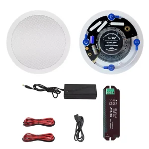 Altoparlante da soffitto Bluetooth Herdio 6.5 pollici 320W altoparlante da parete a incasso bidirezionale per la festa dell’ufficio del bagno di casa dell’interno