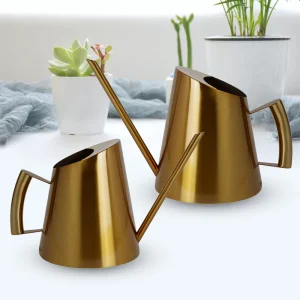 Annaffiatoio in acciaio inossidabile annaffiatoio per fiori annaffiatoio da giardino per piante in vaso piante da interno piante da Patio piante appese