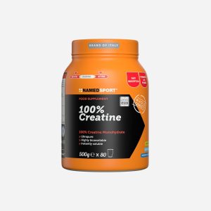 Named Sport Creatina 100% Named 500g 200 Mesh – Energetico – Color Mix