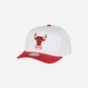 Mitchell&ness Team 2 Tone 2.0 Pro Hw – Accessorio Basket – Color Mix