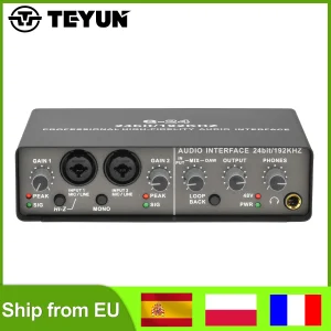 TEYUN 24bit interfaccia Audio monitoraggio della scheda Audio a 2 canali per chitarra elettrica Live Record Extractor Studio canto Q24