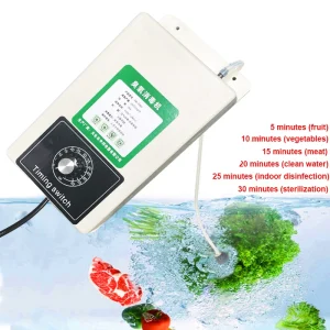 Purificatore sterilizzatore acqua aria macchina generatore di ozono 2000 mg / h con timer da 60 minuti per frutta verdura carne alimentare