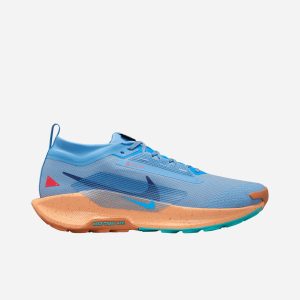 Nike Pegasus Trail 5 Gore Tex M – Scarpe Trail – Uomo – Blu