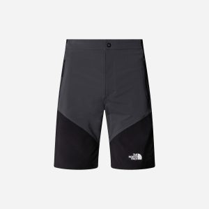 The North Face Felik Alpine M – Pantaloncini – Uomo – Grigio