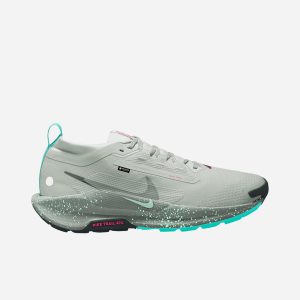 Nike Pegasus Trail 5 Gore-tex M – Scarpe Trail – Uomo – Grigio