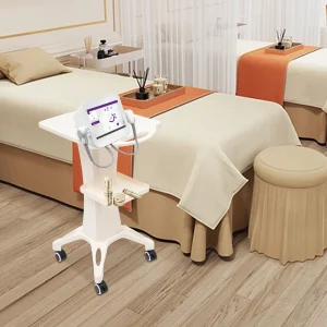 Salon Spa Trolley Stand Beauty Instrument Cart Storage Shelf Rolling Cart Tattoo Equipment