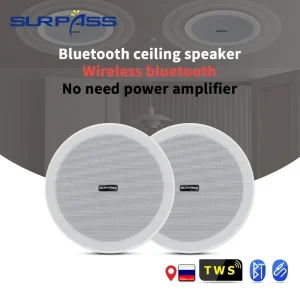 Altoparlante Bluetooth da soffitto da 6 pollici 10W da incasso a soffitto Altoparlante da parete Amplificatore incorporato Altoparlante attivo TWS per Home Theater