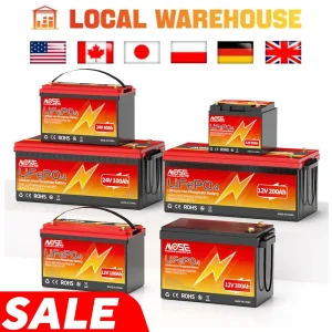 Batteria 12V 24V 50Ah 100Ah 140Ah 168Ah 200Ah 300Ah Lifepo4 incorporata BMS ricaricabile ciclo profondo per carrello da golf RV Archiviazione solare