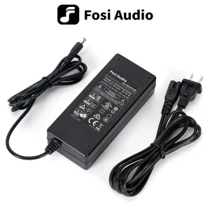 Fosi Audio 19V/24V/32V/48V DC caricatore di alimentazione amplificatore Home Theater adattatore di alimentazione per ingresso amplificatore di potenza Audio 100-240V