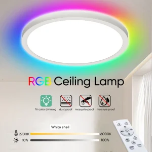 Plafoniera a LED 220V dimmerabile con telecomando RGB 3000K-6500K Lampada da soffitto rotonda per soggiorno camera da letto 24W 2700LM