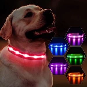 Collare per cani in maschera collare per cani a LED ricaricabile 100% luci lampeggianti impermeabili con forniture di sicurezza notturna per passeggiate all’aperto USB