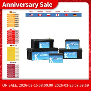 Nuova batteria al litio ferro fosfato 12V 24V 48V LiFePO4 con BMS 50 80 100 120 180 300Ah per carrello da golf EV RV accumulo di energia solare