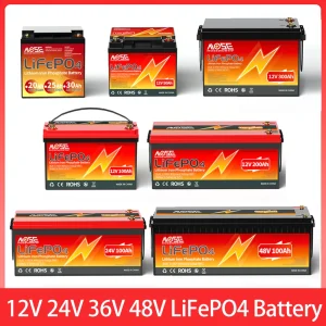 Batteria LiFePO4 12V 24V 36V 48V incorporata BMS 50Ah 60Ah 100Ah 200Ah 300Ah Batteria al litio ferro fosfato Ricaricabile a ciclo profondo