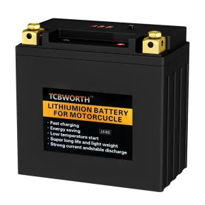 Batteria al litio Lifepo4 12V 9AH scheda BMS integrata cella Scooter avviamento moto elettrica per ATV UTV Jet Ski Mortor Autocycle