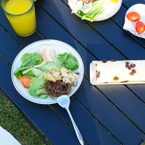 Tavolo Pieghevole in Lega di Alluminio, Portatile e Richiudibile, per Campeggio, Escursioni, Barbecue, Completamente Nero