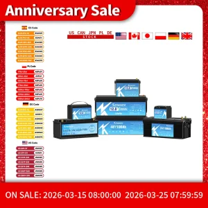 Nuovo 12V 24V 36V 48V 30Ah 50Ah 100Ah 120Ah 135Ah 180Ah 200Ah 300Ah Batteria al litio ferro fosfato per camper camper carrelli da golf solari