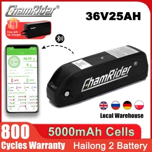 Batteria ChamRider per Bici Elettrica 36V 20AH Hailong 1, Batteria al Litio 48V 500W per Bicicletta