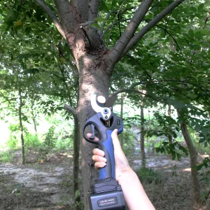 Forbici da potatura elettriche senza fili da 40mm forbici da giardino elettriche per potatore 2 aperture di livello taglierina per rami di alberi da frutto ricaricabile