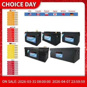 Batteria al litio ferro fosfato 12V 24V 48V LiFePO4 con BMS 50 100 120 135 180 230Ah 300Ah per carrello da golf RV Accumulo di energia solare