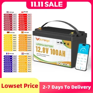FLLYROWER 12V 100Ah LiFePO4 Batteria al litio BMS100A per inverter solare fuoristrada Off-grid Energia solare 8000+ Cicli Batteria