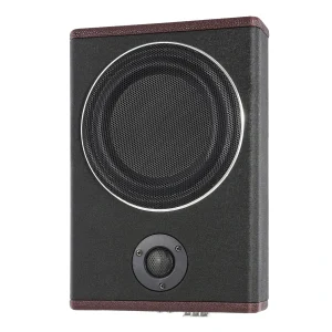 Subwoofer per auto full-range da 8 pollici Stereo per auto ultra sottile sotto il sedile Audio attivo Alti Bass Amplificatore incorporato Altoparlante DC 12V 600W