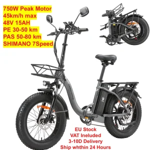 Bici elettrica pieghevole B20 750W, velocità massima 45 km/h, batteria rimovibile 48V 15Ah, SHIMANO 7 velocità, impermeabile IP65, pneumatici grassi 20″x4.0