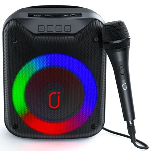 Altoparlante Wireless da Esterno FanFun, Speaker Portatile con Microfono, Luci DJ Colorate, Doppia Presa per Microfono, Compatibile con Scheda TF