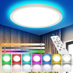 Plafoniera a LED 220V dimmerabile con telecomando 24W 2700LM RGB 3000K-6500K Lampada da soffitto rotonda per soggiorno camera da letto